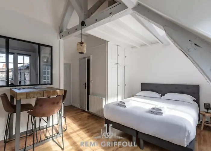 La Capucine Lovely Studio City Center